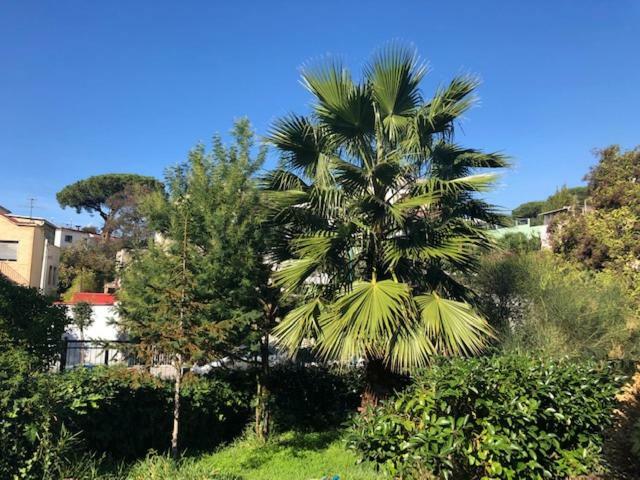 La Ville 托雷德尔格雷科 外观 照片